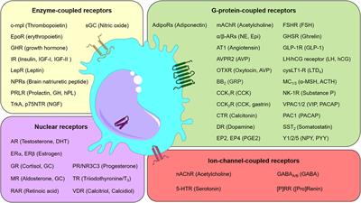 Neuroendocrine Control of Macrophage Development and Function